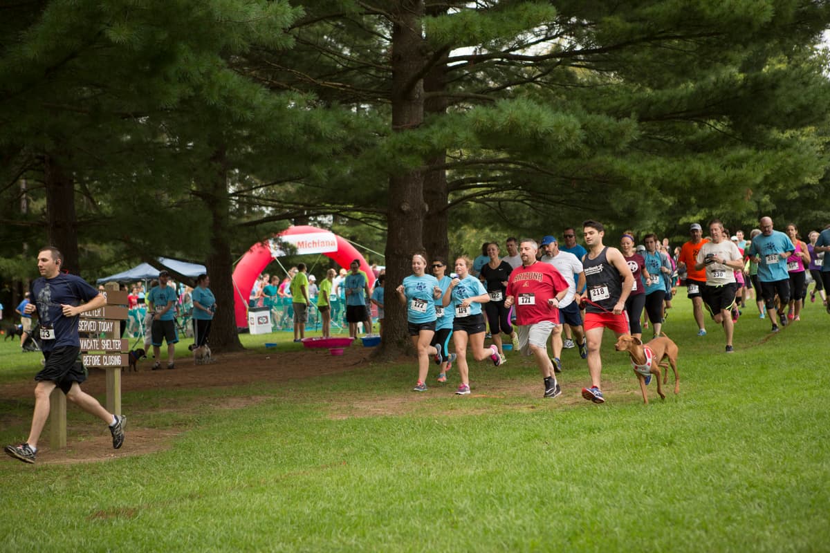 5K Paws for a Cause and 1M Strut your Mutt at Dogapalooza banner